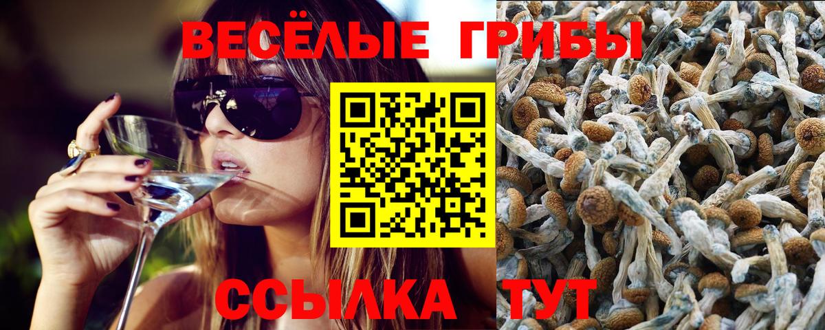 Галлюциногенные грибы MAGIC MUSHROOMS  Галлюциногенные грибы прущие грибы  Вход с VPN  Калуга 